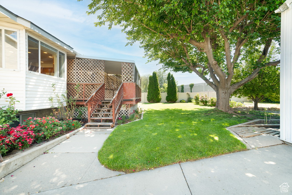 View of yard