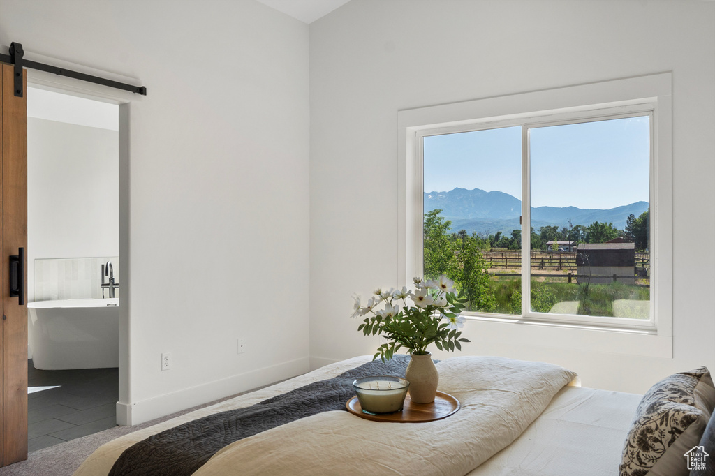 Bedroom featuring a mountain view, a barn door, and baseboards