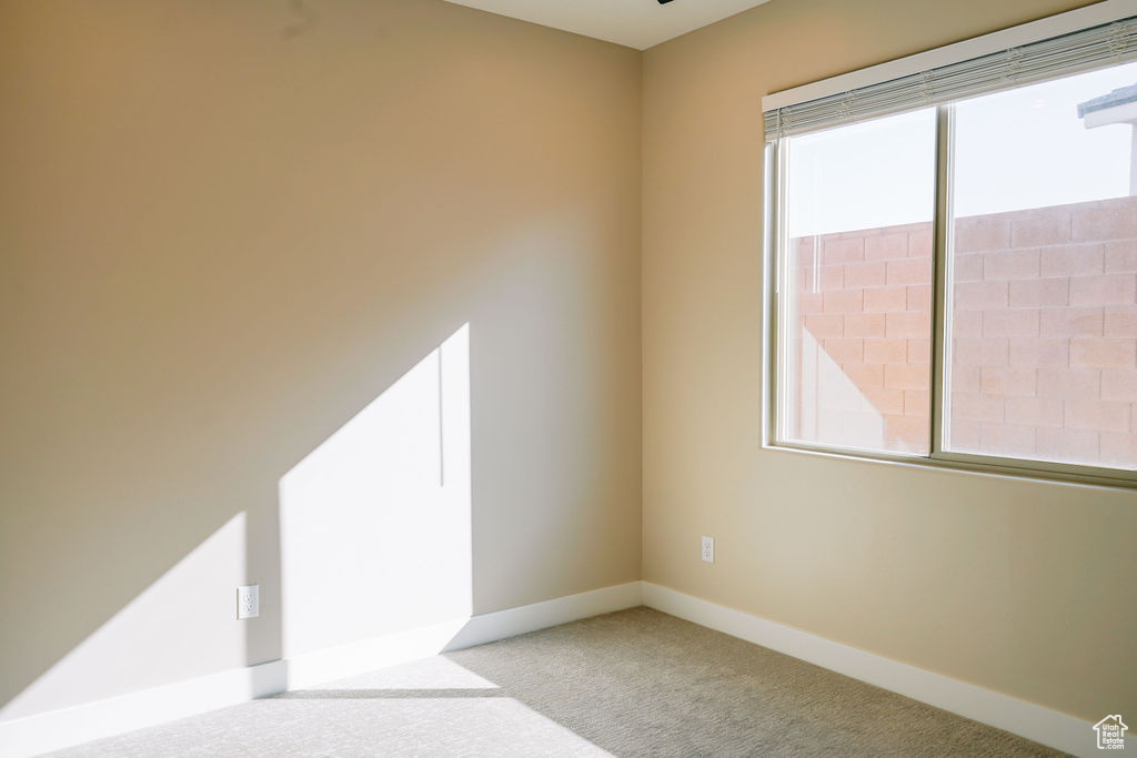 Spare room with plenty of natural light, carpet floors, and baseboards