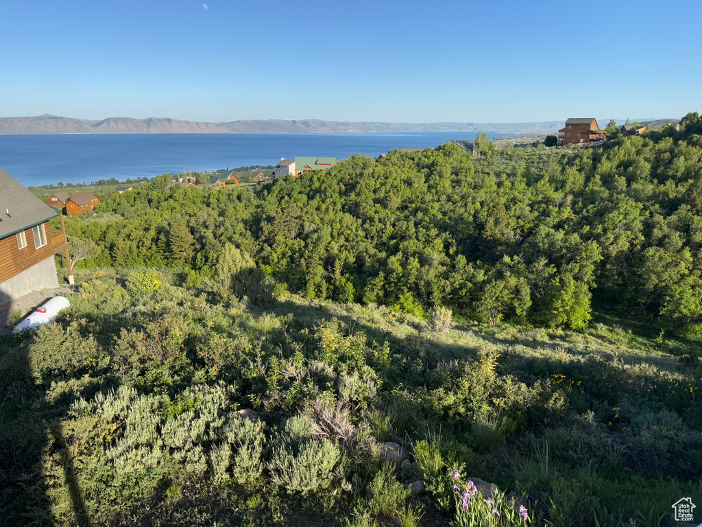 View of property location featuring a water and mountain view and a heavily wooded area