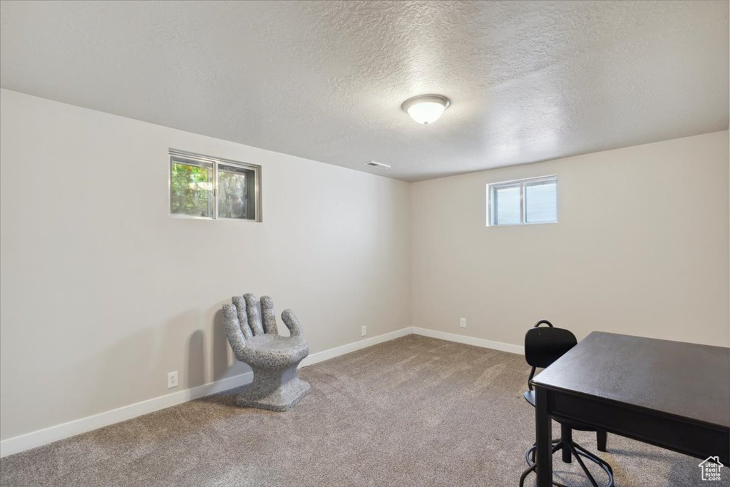 Home office with a textured ceiling, baseboards, and carpet flooring