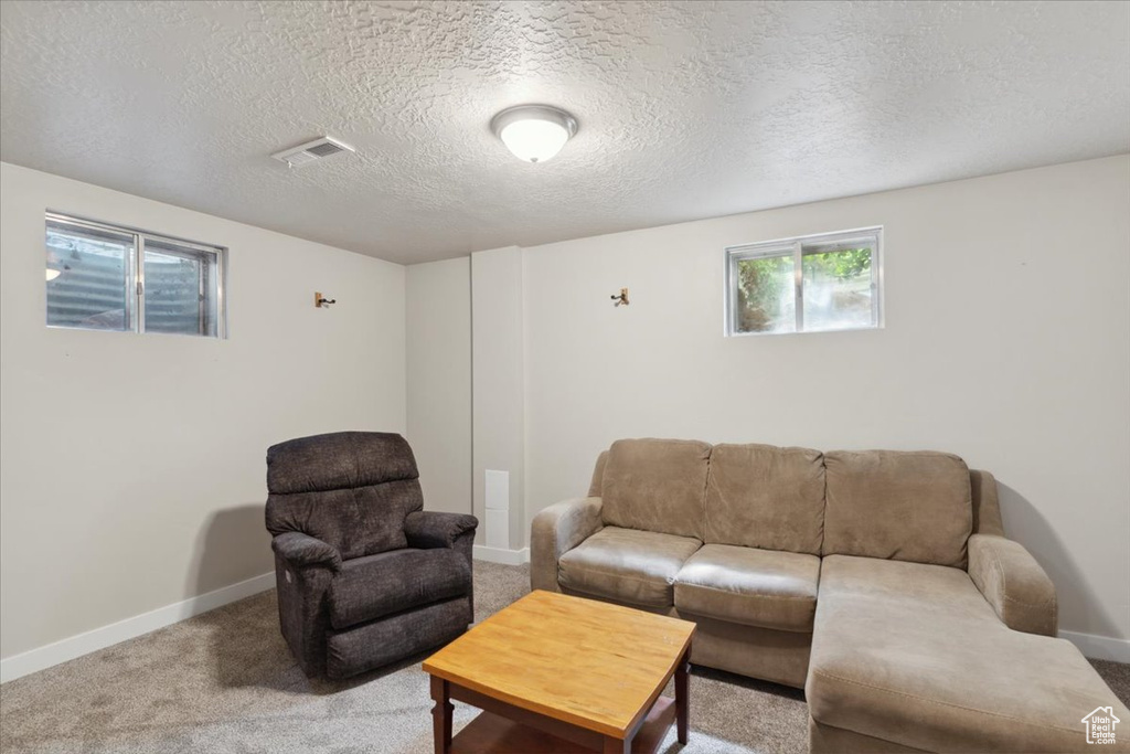 Living area featuring carpet, baseboards, and a textured ceiling