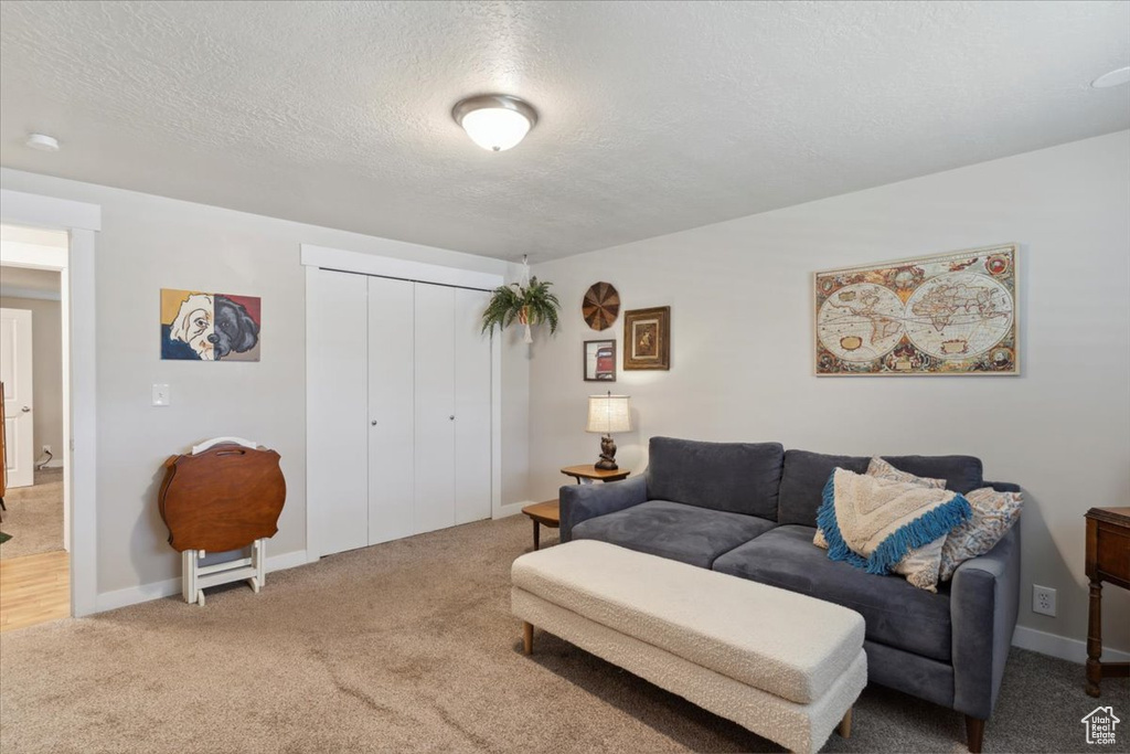 Carpeted living area with a textured ceiling and baseboards