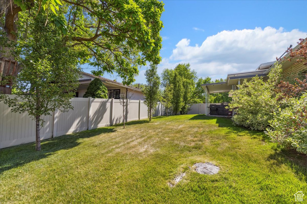 View of yard