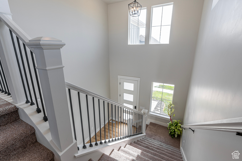 Stairway with a chandelier, a towering ceiling, and carpet floors