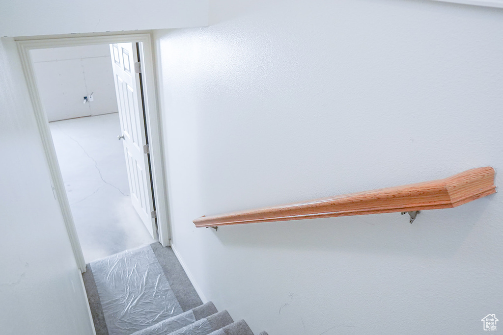 Staircase with carpet floors