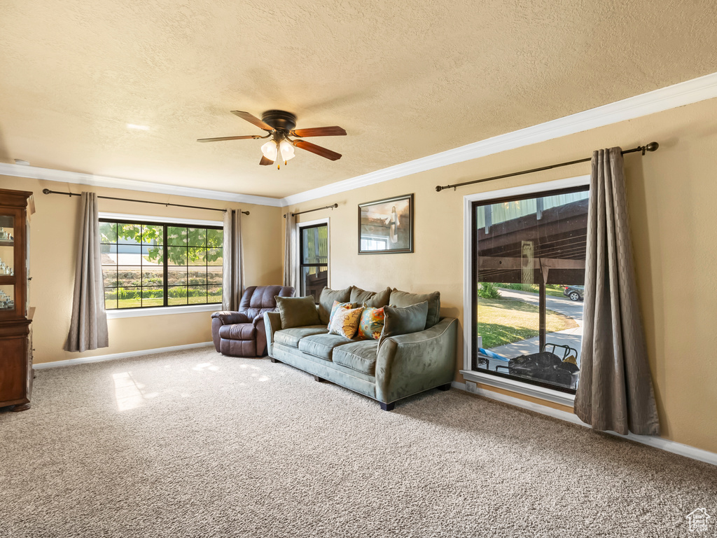 Carpeted living room featuring ceiling fan, crown molding, and a textured ceiling