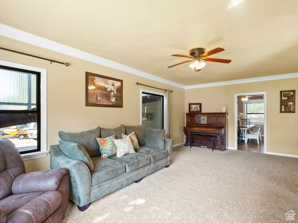 Living area with a ceiling fan, ornamental molding, and carpet