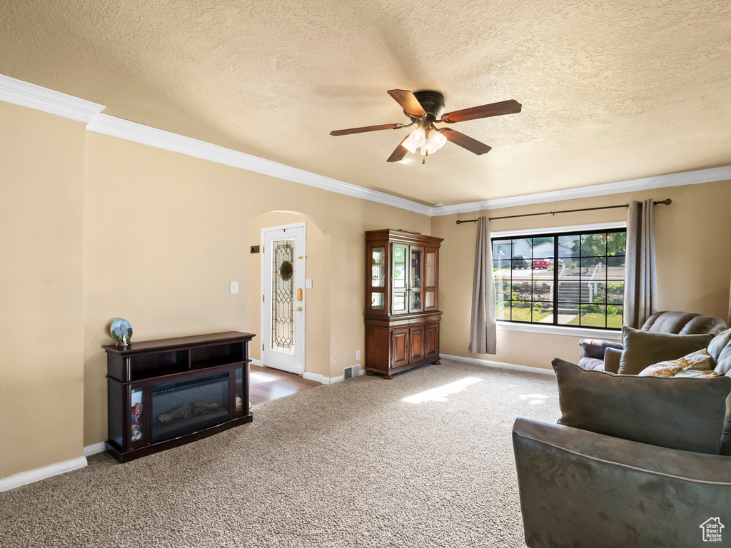 Carpeted living area with ceiling fan, arched walkways, ornamental molding, and a textured ceiling