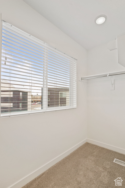 Spacious closet featuring carpet