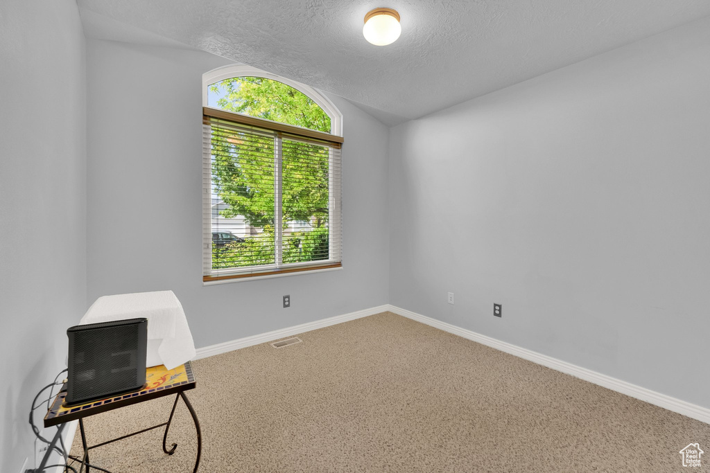 Carpeted spare room featuring vaulted ceiling and a textured ceiling