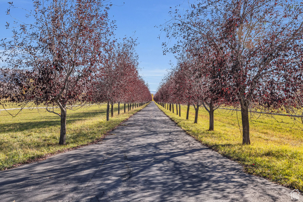 View of community featuring a view of rural / pastoral area, a lawn, and agricultural plots