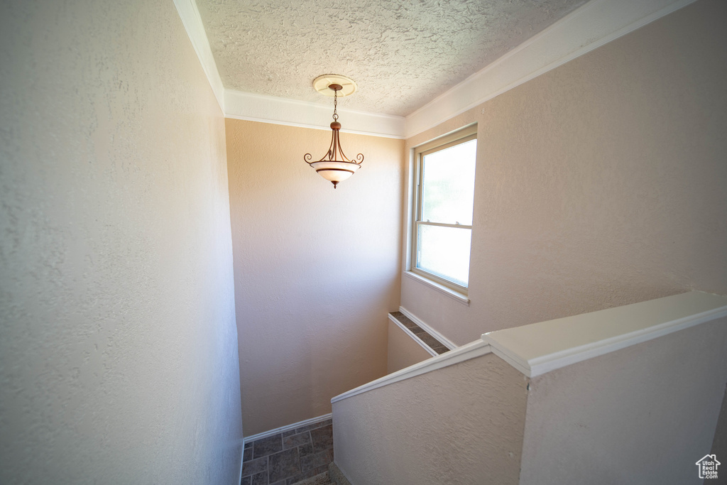 Staircase with a textured ceiling and a textured wall