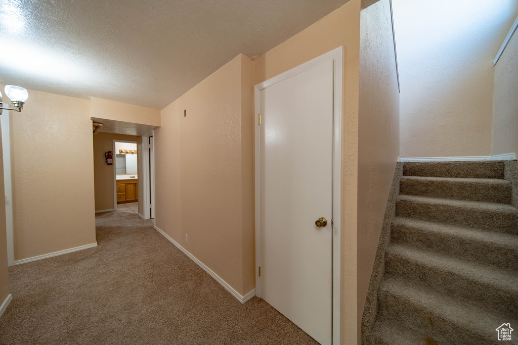 Corridor with carpet and stairs