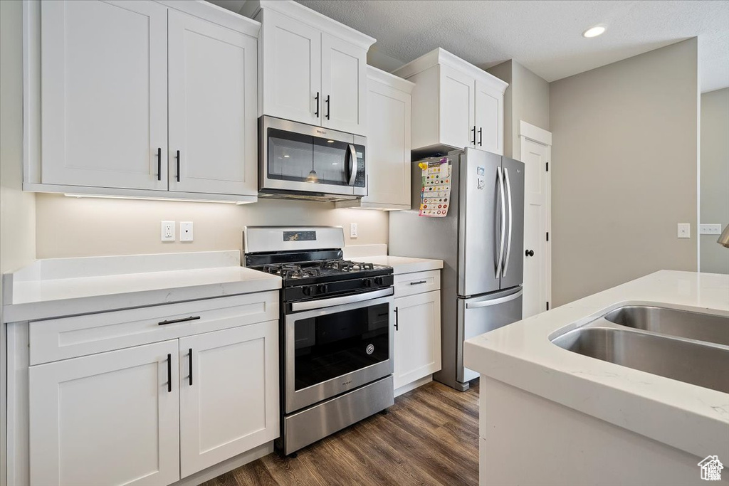 Kitchen with appliances with stainless steel finishes, dark wood-style floors, white cabinetry, recessed lighting, and a sink