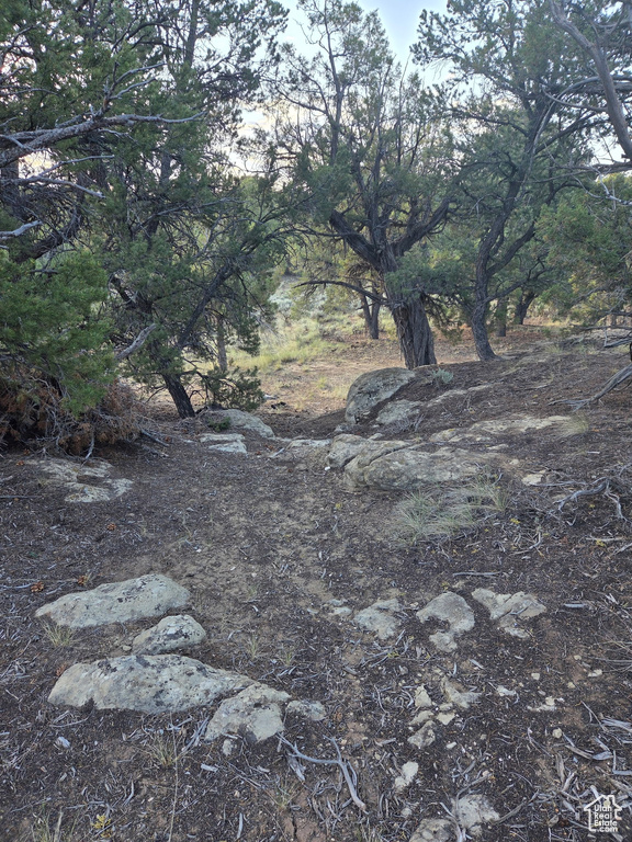 View of undeveloped land