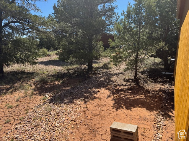 View of nature