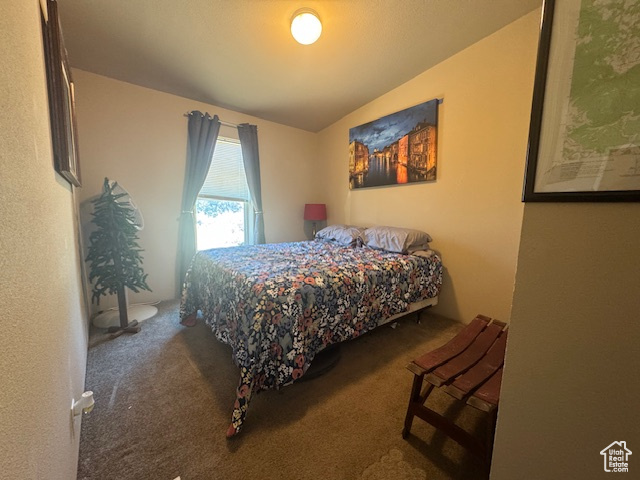 Bedroom with carpet floors and lofted ceiling