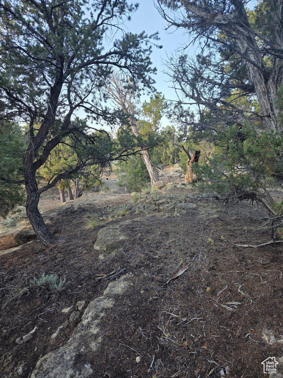 View of nature