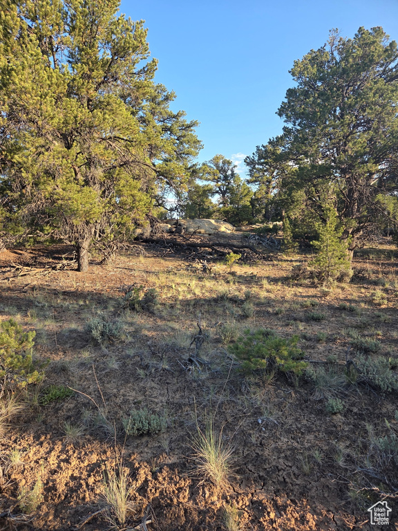 View of undeveloped land