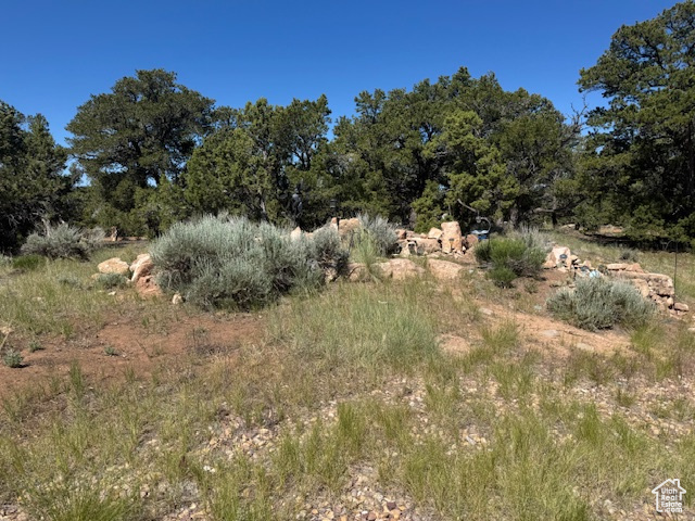 View of nature