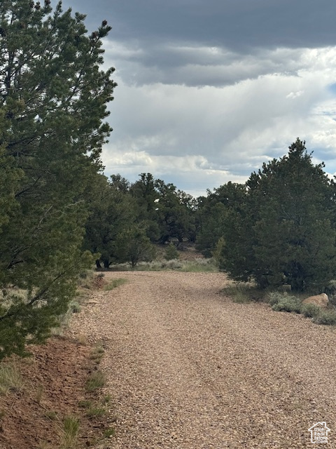 View of undeveloped land
