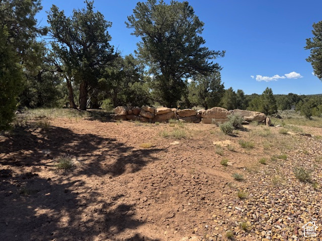 View of undeveloped land