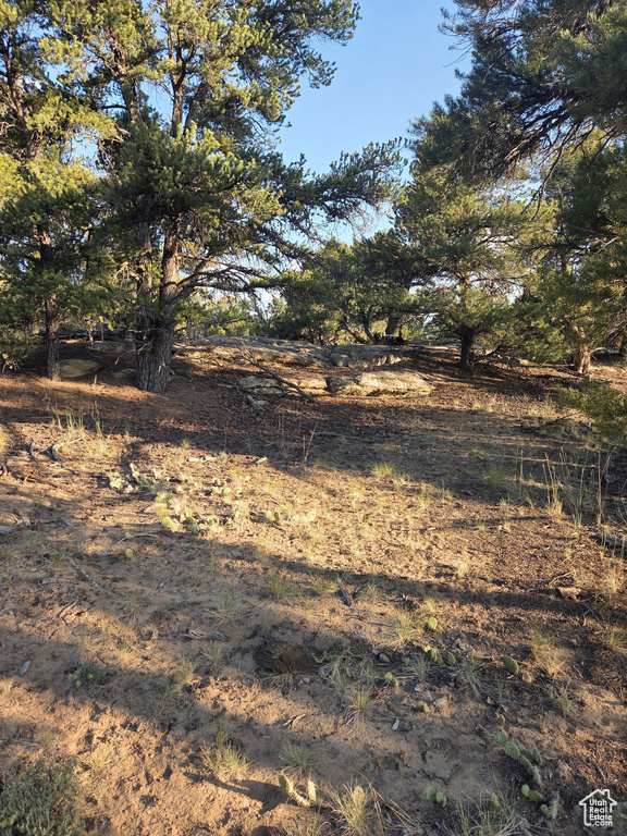 View of nature