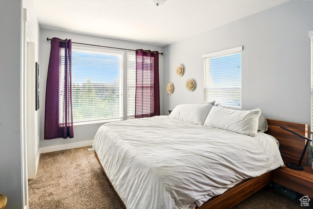 Bedroom featuring carpet, multiple windows, and baseboards