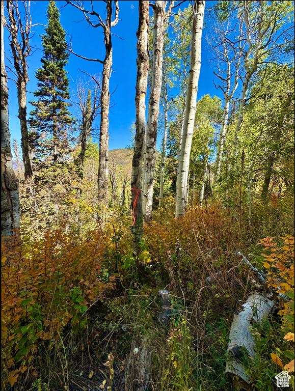 View of nature