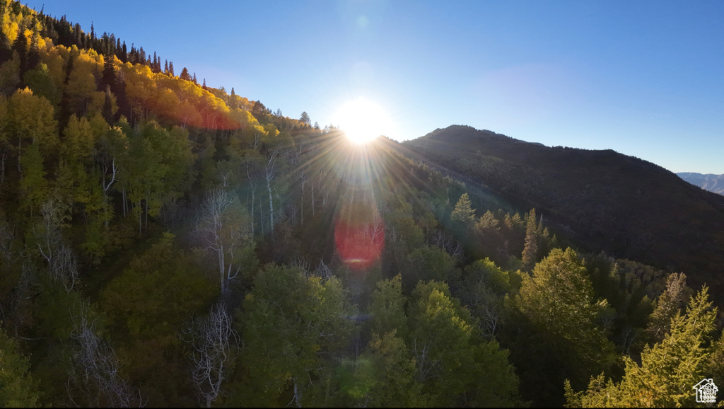 Mountain view with a heavily wooded area