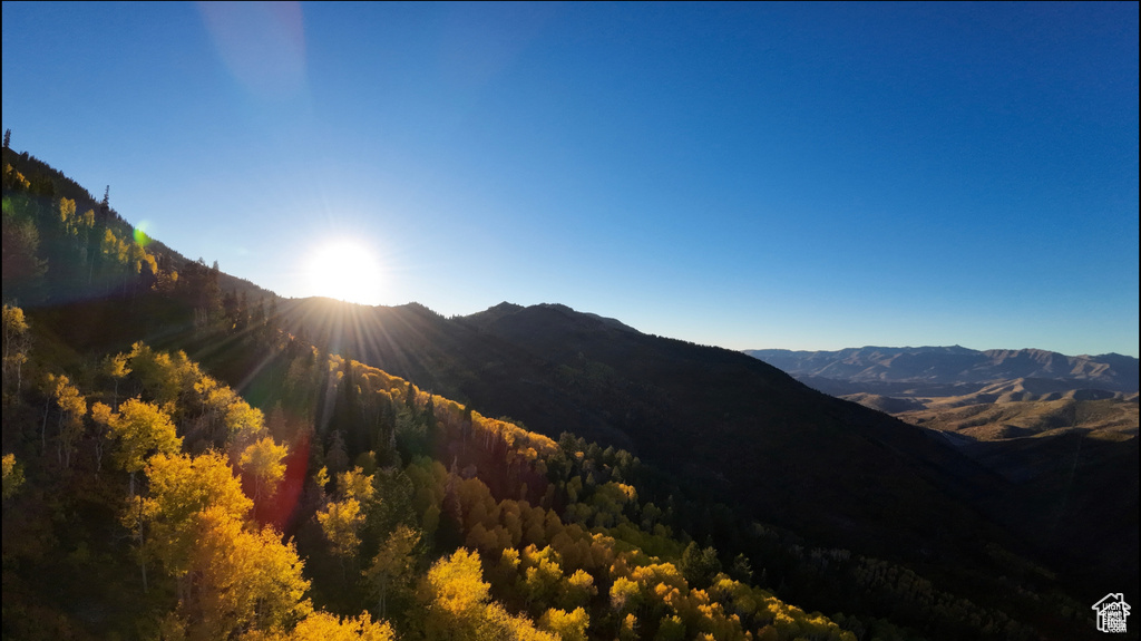 View of mountain backdrop with a forest