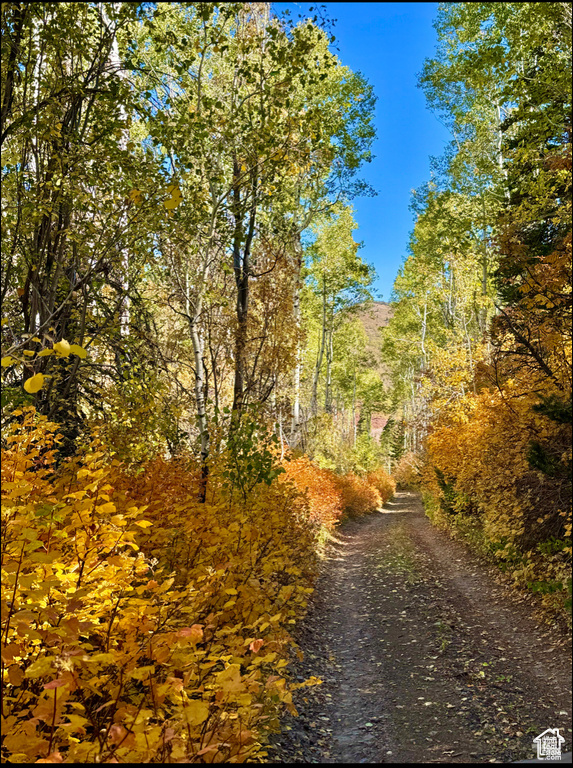 View of dirt / gravel road