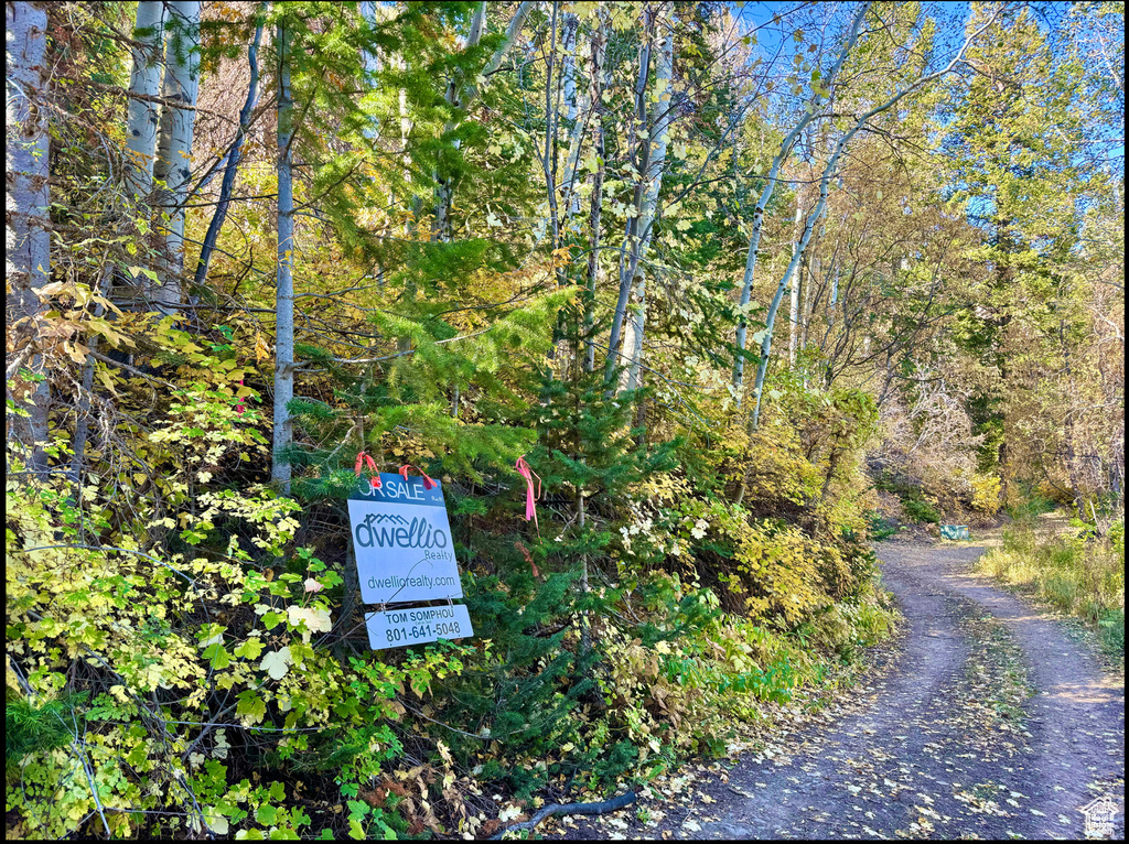 View of property's community featuring a wooded view