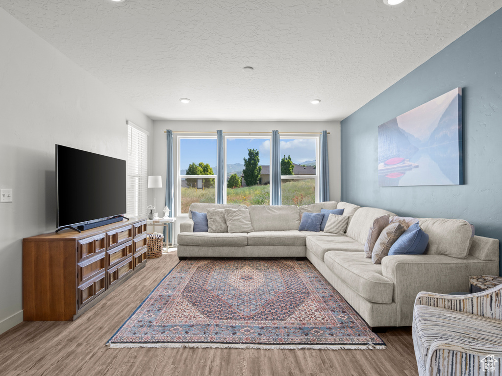 Living area featuring wood finished floors, a textured ceiling, and recessed lighting