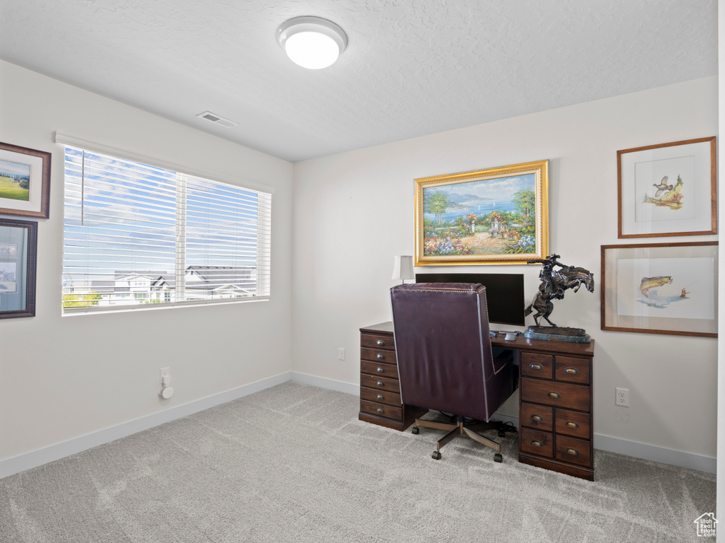 Office space with light colored carpet and a textured ceiling