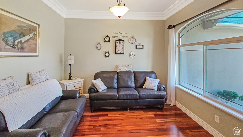 Living area featuring wood finished floors and ornamental molding