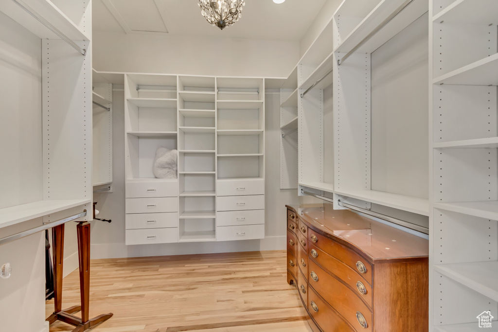 Walk in closet with light wood finished floors