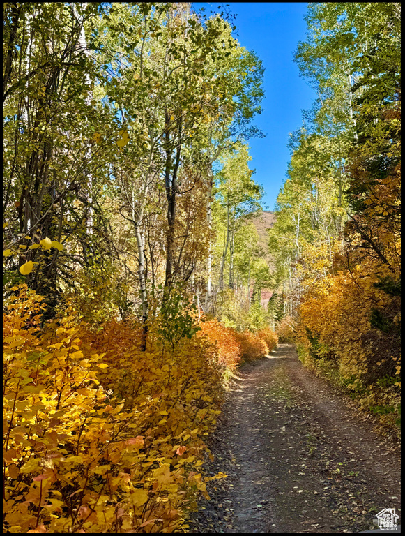 View of dirt / gravel road