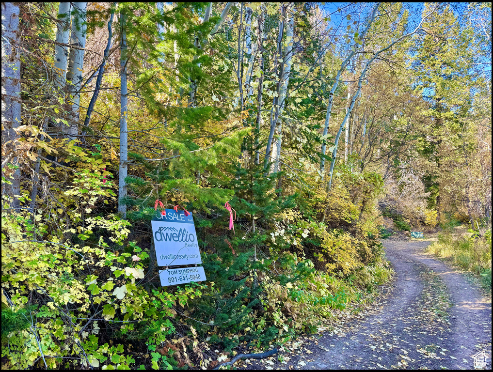View of street with a wooded view