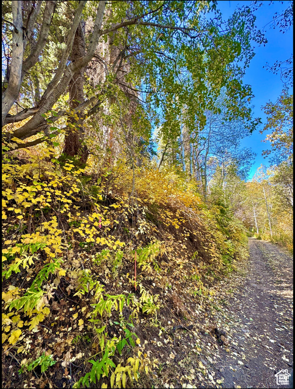 View of nature
