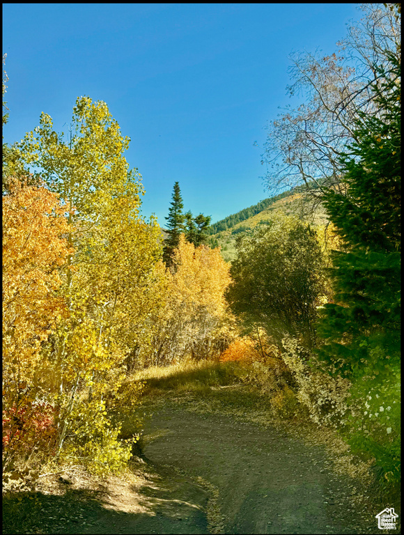 View of nature