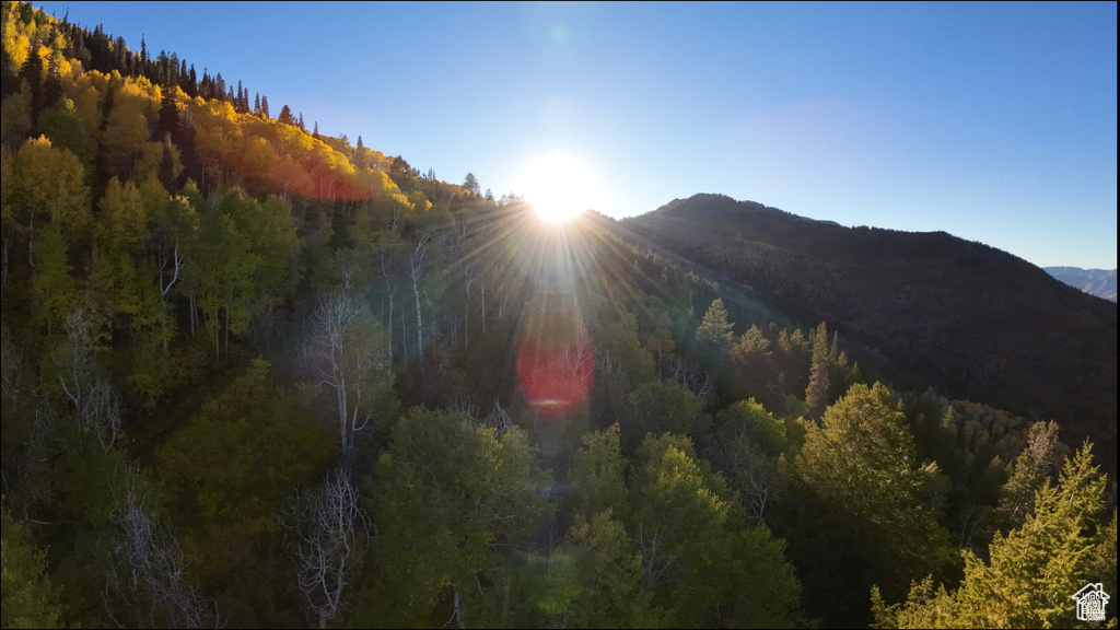 Mountain view featuring a forest