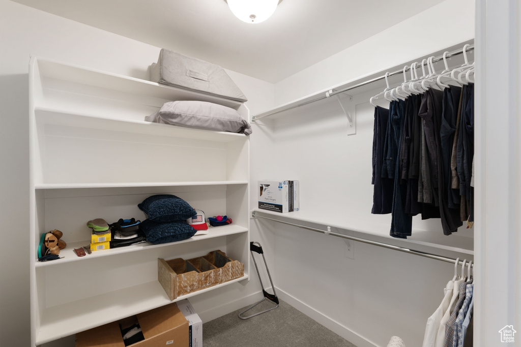 Walk in closet with carpet floors