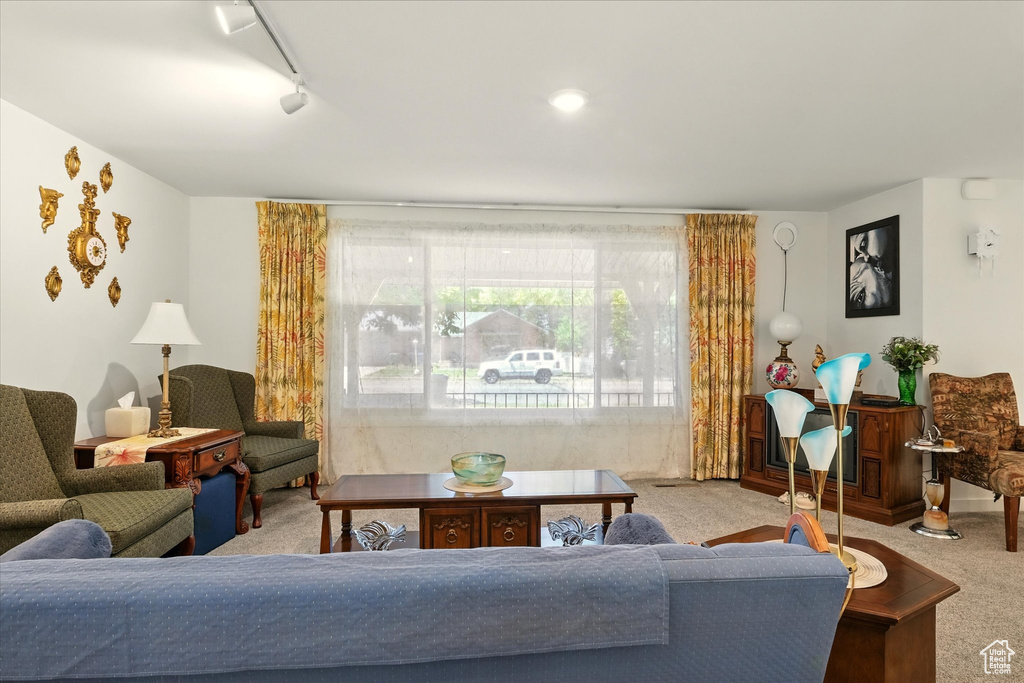 Living area with carpet and track lighting