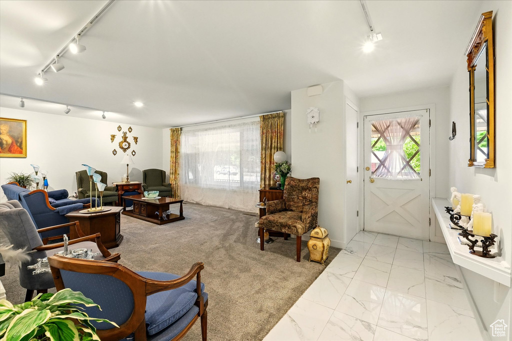 Living area featuring rail lighting, plenty of natural light, and light marble finish floors