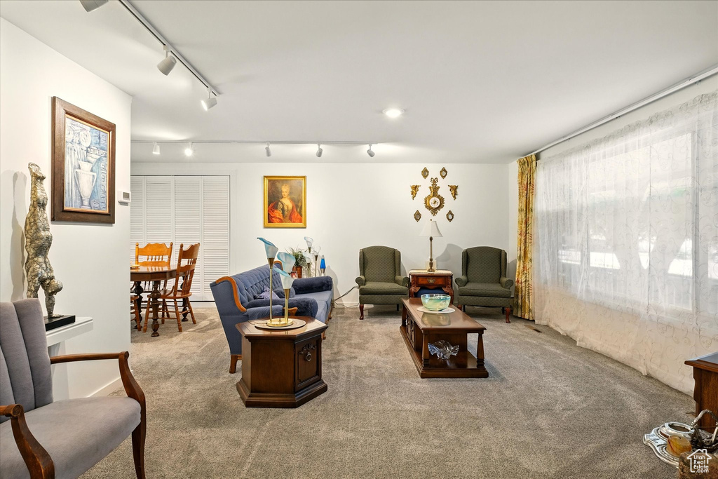 Living area with track lighting and carpet floors