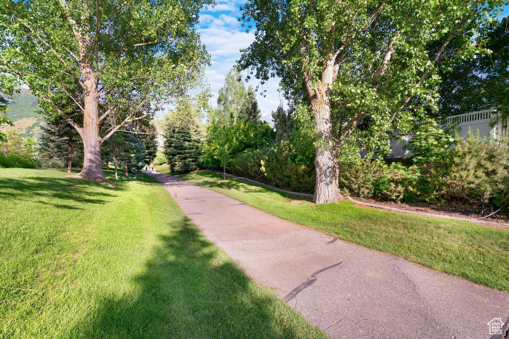 Surrounding community featuring a yard