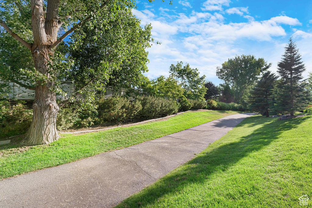 View of home\'s community featuring a yard