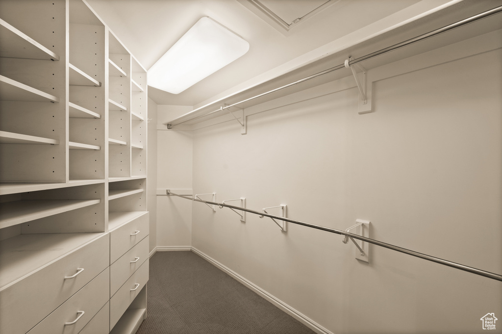 Spacious closet with dark colored carpet